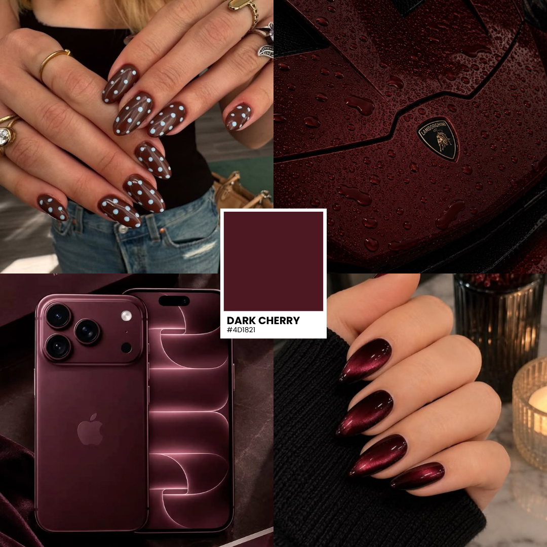 iPhone 18 Herbstnägel: Dark Cherry & Light Blue